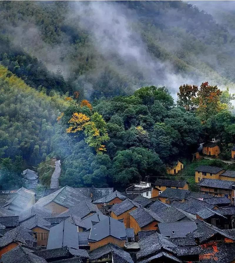 植物大战僵尸15