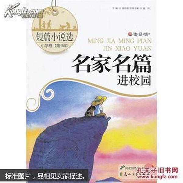 海口市存量经营主体已达263万户占全省69.66%